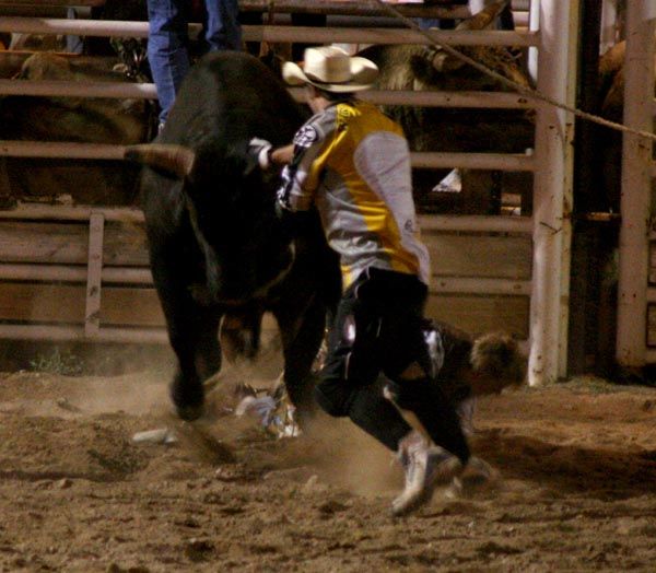 Getting bull off the cowboy. Photo by Pinedale Online.