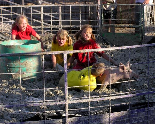 Pig Rodeo-ers. Photo by Pinedale Online.