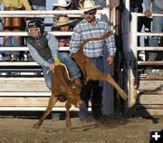 Chet Whitman calf ride. Photo by Dawn Ballou, Pinedale Online.
