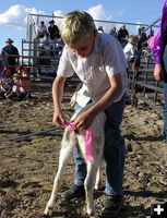 Goat tail tying. Photo by Dawn Ballou, Pinedale Online.