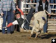 Tanner Porter calf ride. Photo by Dawn Ballou, Pinedale Online.