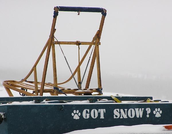 Got Snow?. Photo by Dawn Ballou, Pinedale Online.