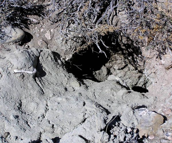 Badger Hole. Photo by Dawn Ballou, Pinedale Online.