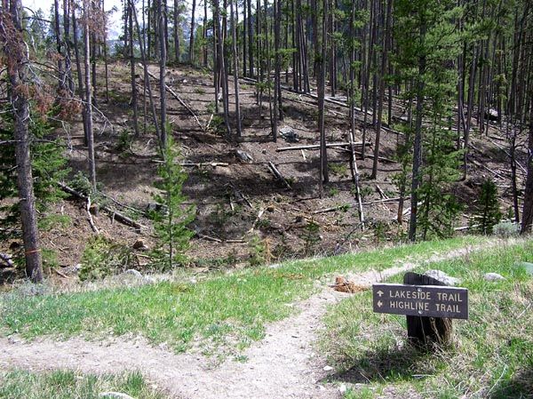 Trails open. Photo by Dawn Ballou, Pinedale Online.