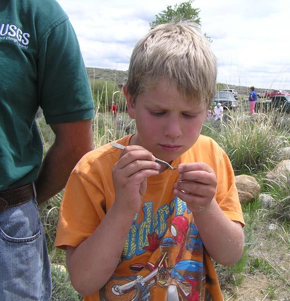 Trevor finds a scud. Photo by Dawn Ballou, Pinedale Online.