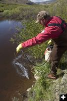 Rotenone treatment. Photo by Wyoming Game & Fish.