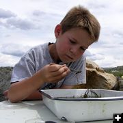 Ryan looks at a stonefly. Photo by Dawn Ballou, Pinedale Online.