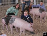 Swine Showmanship. Photo by Clint Gilchrist, Pinedale Online.