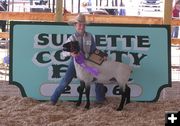 Junior Showmanship Sheep. Photo by Dawn Ballou, Pinedale Online.