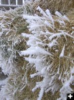 Hoar frost on hay bale. Photo by Dawn Ballou, Pinedale Online.