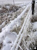 Frost on wire fence. Photo by Dawn Ballou, Pinedale Online.