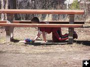 Through the picnic table. Photo by Dawn Ballou, Pinedale Online.