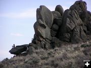 Prickly Pear Rocks. Photo by Jason Brown, Alan Svalberg.