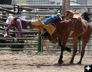Saddle Bronk. Photo by Clint Gilchrist, Pinedale Online.
