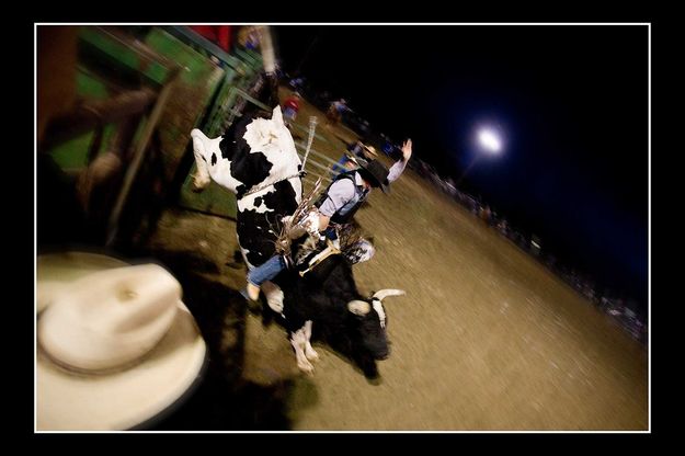 Bull Ride. Photo by Tara Bolgiano, Blushing Crow Photography.
