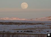 Moonrise over the mountains. Photo by Dawn Ballou, Pinedale Online.