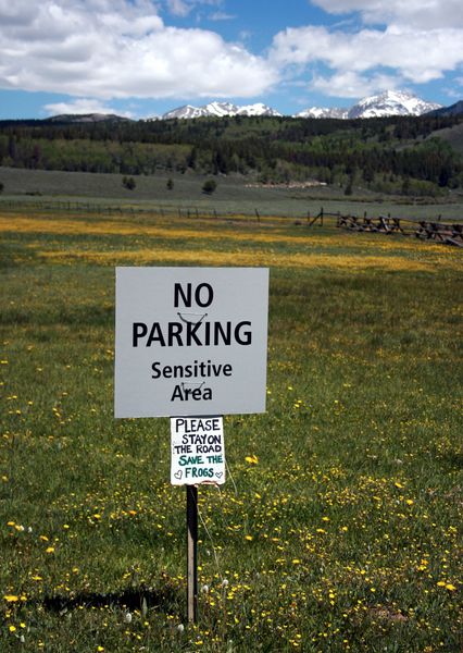 Sensitive Area - No Parking. Photo by Dawn Ballou, Pinedale Online.