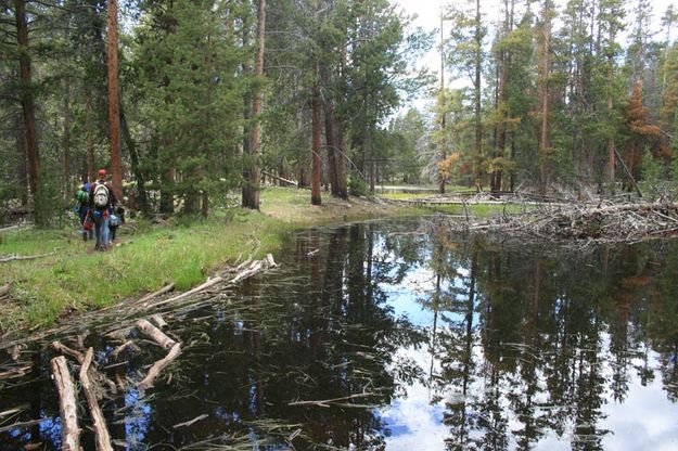 Pond by trail. Photo by Dawn Ballou, Pinedale Online.