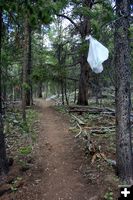 Middle Trail. Photo by Dawn Ballou, Pinedale Online.