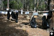 Recycle Bags. Photo by Dawn Ballou, Pinedale Online.