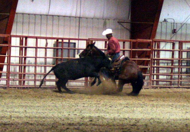 Stopping the Calf. Photo by Clint Gilchrist, Pinedale Online.