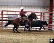 Fence  Control. Photo by Clint Gilchrist, Pinedale Online.