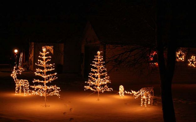 Deer and Tree lights. Photo by Dawn Ballou, Pinedale Online.