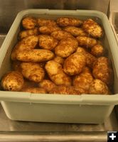 Potatoes soaking. Photo by Dawn Ballou, Pinedale Online.