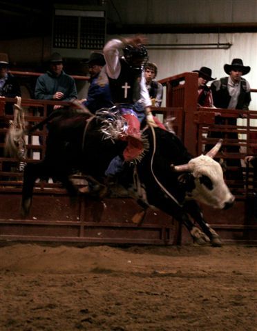 Bull Ride 5. Photo by Carie Whitman.