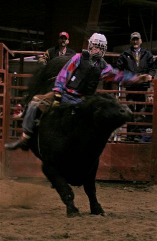 Bull Ride 15. Photo by Carie Whitman.