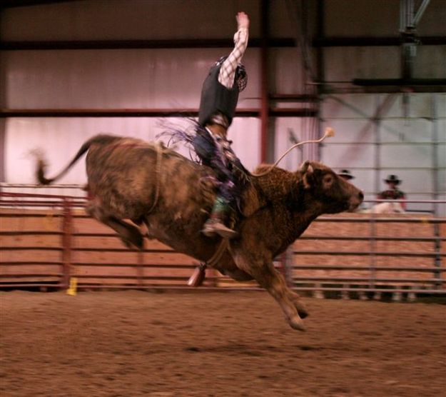 Bull Ride 24. Photo by Carie Whitman.