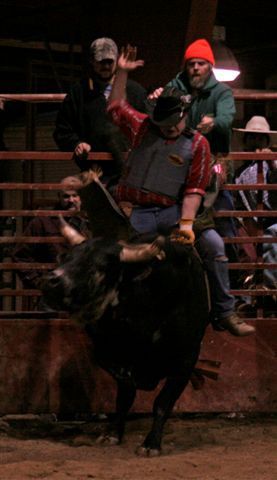 Bull Ride 7. Photo by Carie Whitman.