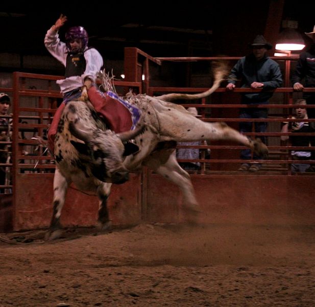 Bull Riding Clinic. Photo by Carie Whitman.