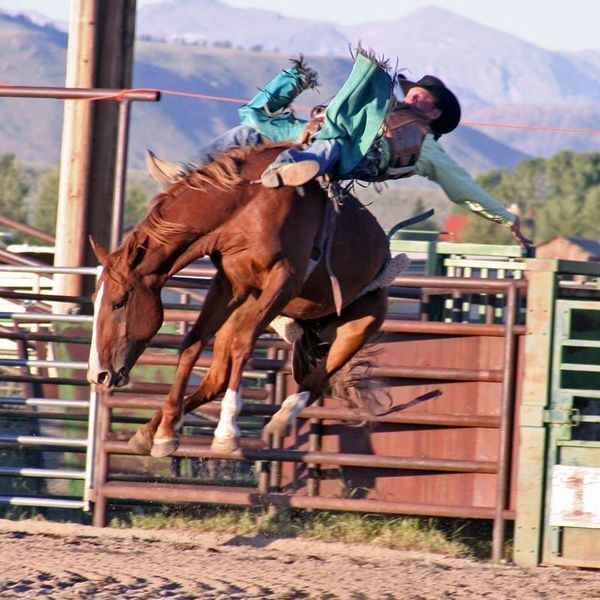 Rendezvous Rodeo. Photo by Carie Whitman.