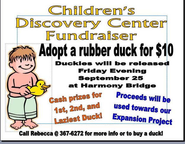 Adopt a Rubber Duck!. Photo by Children's Discovery Center.