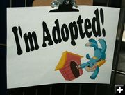 I'm Adopted!. Photo by Dawn Ballou, Pinedale Online.