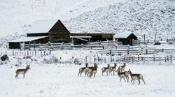 Snowbound, southbound. Photo by Joy Ufford, Sublette Examiner.