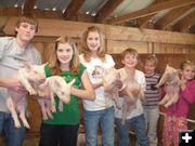 Show Pigs from the Farm. Photo by Robin Schamber, Sublette County 4-H.