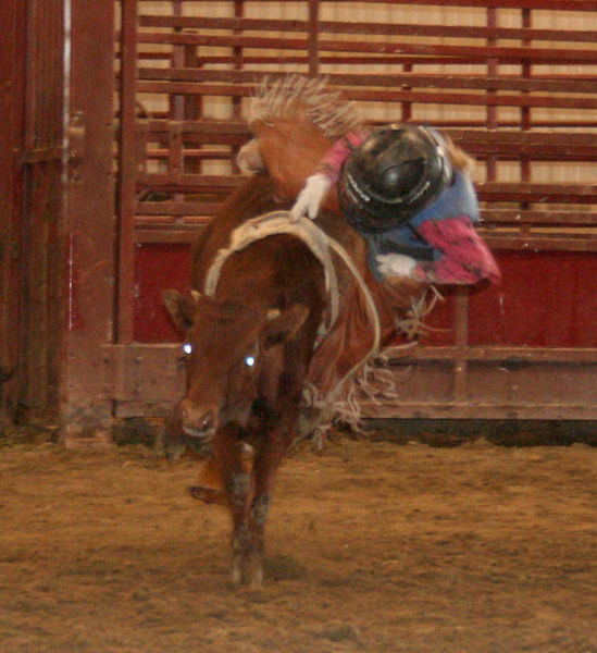 Sorrel Proffit. Photo by Dawn Ballou, Pinedale Online.