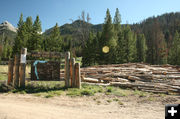 Free firewood. Photo by Dawn Ballou, Pinedale Online.