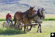 Haying with horses in Bondurant. Photo by Barbara Ellwood.