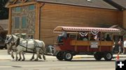 Wagon Shuttles. Photo by Photo by Dawn Ballou, Pinedale Online.