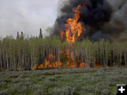 Wyoming Range burn. Photo by TJ Hunt.
