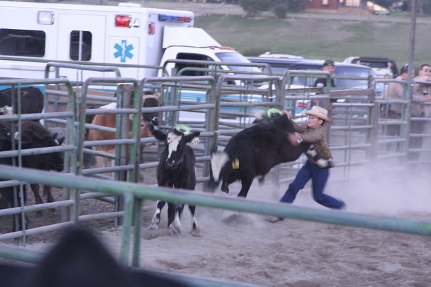 Calf Scramble. Photo by Pam McCulloch, Pinedale Online.