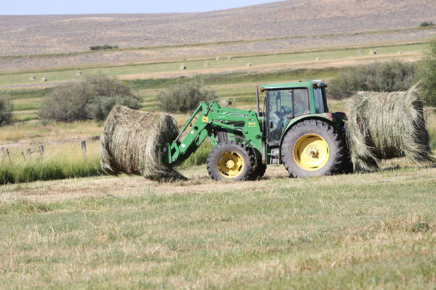 Two bales. Photo by Jonita Sommers.