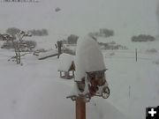 Snow in Bondurant. Photo by Bondurant Gros Ventre webcam.
