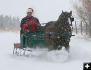 Sleigh Ride. Photo by Dawn Ballou, Pinedale Online.