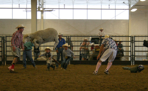 Jumping Sheep. Photo by Dawn Ballou, Pinedale Online.