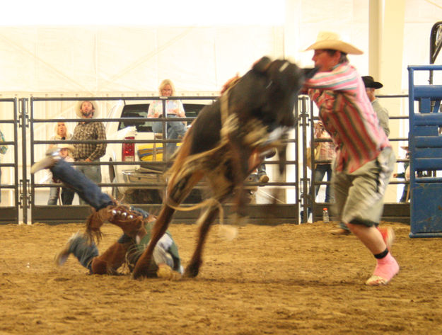 Calf Riding. Photo by Dawn Ballou, Pinedale Online.