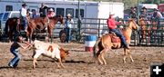 Ribbon roping. Photo by Carie Whitman.